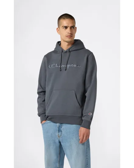 Sweat à capuche Homme Gris