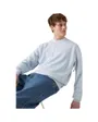 Sweat Homme Authentic Crew