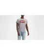 T-shirt manches courtes Homme GRAPHIC SET IN NECK Gris