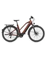 VTC électrique Unisexe ISWAN EXPLORER 6.2 MID iP540 T45/S Rouge Syrah