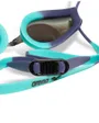 Lunettes De Natation Mixte Tracks Mirror